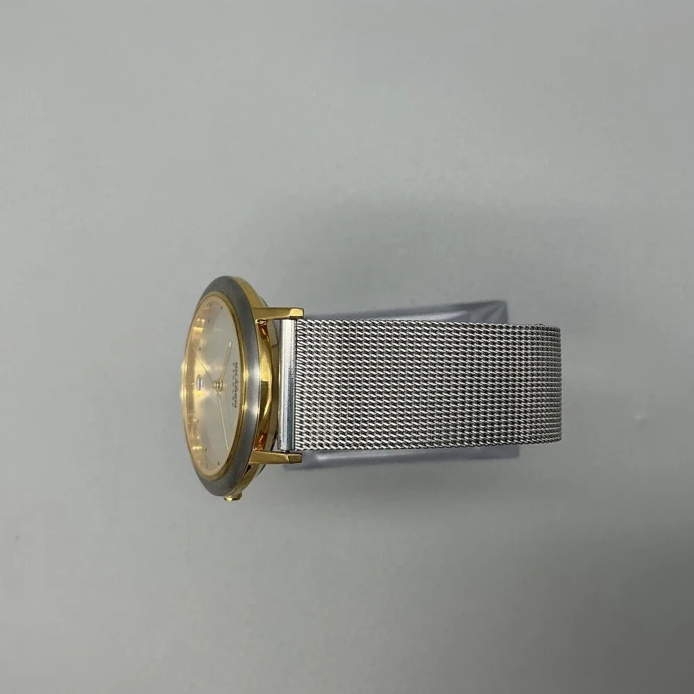 Skagen 16LGS Mens Watch 34mm Silver Tone Two Tone Stainless Date New Battery